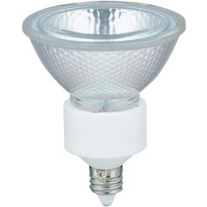 東洋ライテック 東洋 LW100V36W 白熱電球 （シリカ電球） 40形