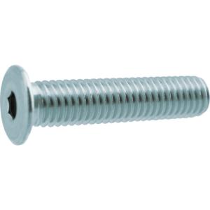 TRUSCO(トラスコ)　超低頭キャップボルト　ステンレス　Ｍ５×１６　６本入　／六角穴付ボルト（ＣＡＰ） Y311-0516