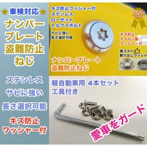 キズ防止ワッシャー付 盗難防止ネジ 4本セット ローゼット ステンレス