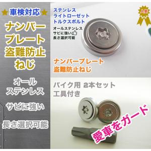 盗難防止ネジ 工具付 2本セット ライトローゼットワッシャー付 ステンレス トルクス ボルト 長さ 12〜40mm ナンバーねじ