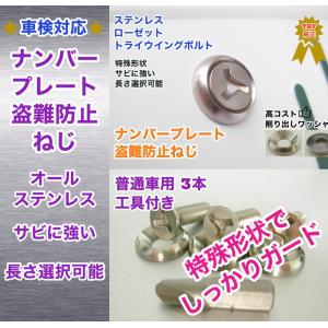 盗難防止ネジ 工具付 3本セット ナンバープレートねじ ローゼットワッシャー付 ステンレス トライウィング ボルト セキュリティ Trf Kougutukitoraiwingu3 工具とネジの中澤ヤフー店 通販 Yahoo ショッピング