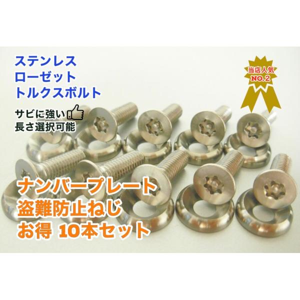 お得 盗難防止ネジ 10本セット ローゼット ステンレス トルクス  ボルト ナンバープレートねじ ...