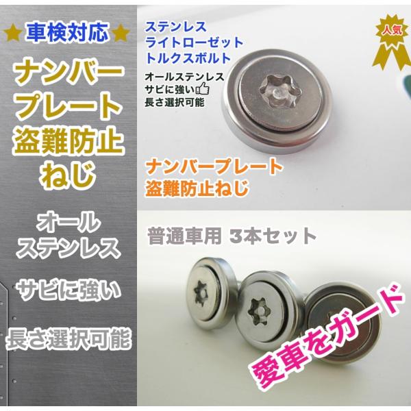 盗難防止ネジ 3本セット ライトローゼットワッシャー付 ステンレス トルクス ボルト 長さ 12〜4...