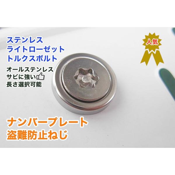 盗難防止ネジ ライトローゼットワッシャー付 ステンレス トルクス ボルト 長さ 12〜40mm ナン...