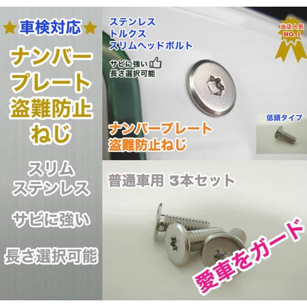 盗難防止ネジ 3本セット ステンレス トルクス スリムヘッド ボルト 低頭 フラット ナンバープレー...