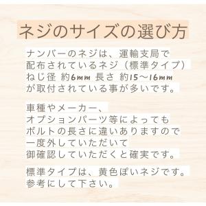 盗難防止ネジ 3本セット ステンレス トルクス...の詳細画像4