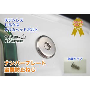 盗難防止ネジ ナンバープレートねじ ステンレス トルクス スリムヘッド ボルト 低頭 フラット 単品 1本