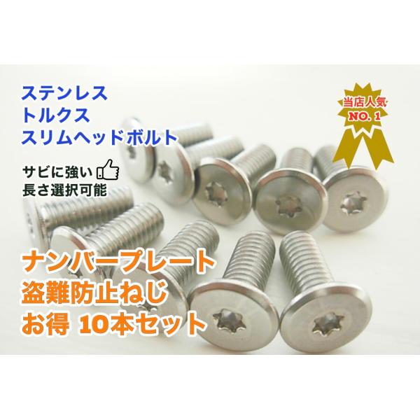 お得 盗難防止ネジ 10本セット ステンレス トルクス スリムヘッド ボルト 低頭 フラット ナンバ...