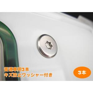 キズ防止ワッシャー付 盗難防止ネジ 3本セット ステンレス トルクス スリムヘッド ボルト 低頭 フラット ナンバープレートねじ交換用 普通車
