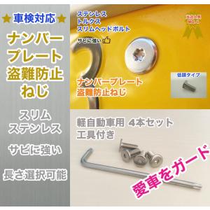 L型工具付 盗難防止ネジ 4本セット ステンレス トルクス スリムヘッド ボルト 低頭 フラット ナンバープレートねじ交換用 長さ 8〜40mm