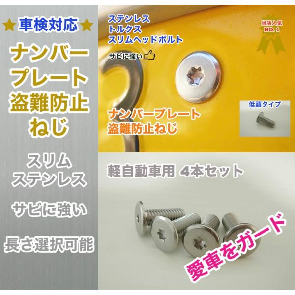 盗難防止ネジ 4本セット ステンレス トルクス スリムヘッド ボルト 低頭 フラット ナンバープレー...