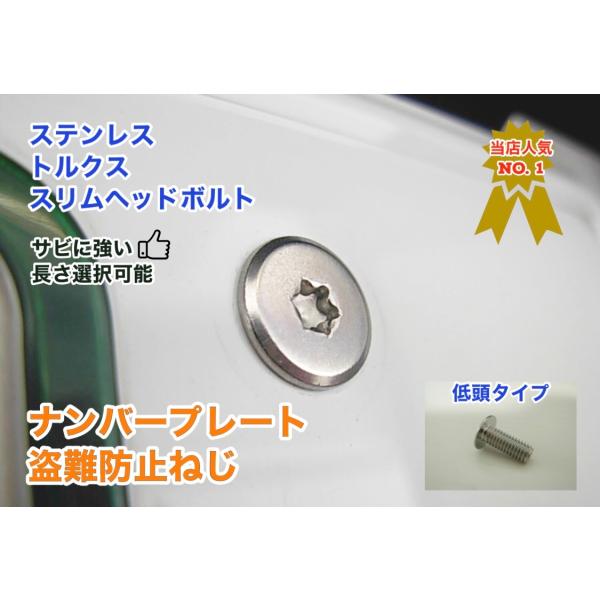 盗難防止ネジ ステンレス トルクス スリムヘッド ボルト 低頭 フラット 長さ 8〜40mm 二輪車...