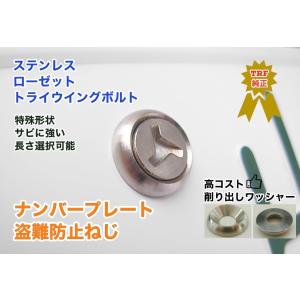 盗難防止ネジ  ナンバープレートねじ  ローゼットワッシャー付 ステンレス トライウィング ボルト セキュリティ トライウイング サイマコーポレーション TRF｜kougutonejiny