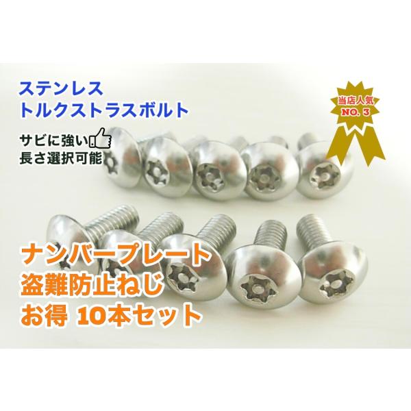 お得 10本セット 盗難防止ネジ ナンバープレートねじ交換用 ステンレス トルクス  トラスボルト ...