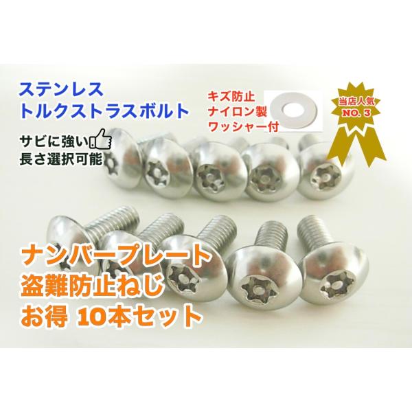キズ防止ワッシャー付 お得 10本セット 盗難防止ネジ ナンバープレートねじ交換用 ステンレス トル...