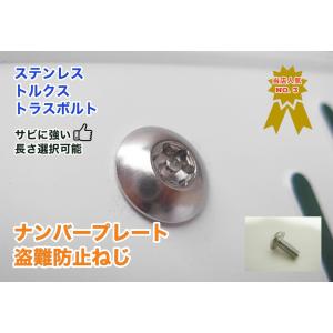 ナンバーボルト 盗難防止ネジ ナンバープレートねじ ステンレス トルクス トラスボルト