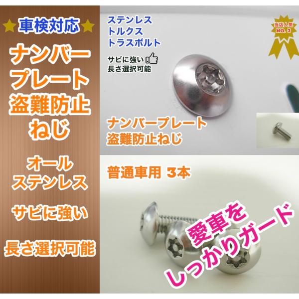 普通車のナンバープレートねじ交換用 盗難防止ネジ 3本セット ステンレス トルクス トラスボルト 長...