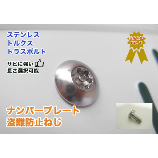 盗難防止ネジ ナンバープレートねじ ステンレス トルクス トラスボルト 長さ 8〜40mm 二輪車や...