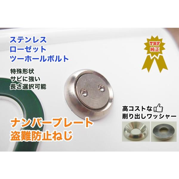 ナンバーボルト 盗難防止ネジ ローゼットワッシャー付 ステンレス ツーホール ボルト ナンバーねじ