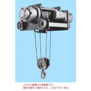 直送品】 日立 ダブルレール形ホイスト Vシリーズ 5t/揚程 8m (5D-T55