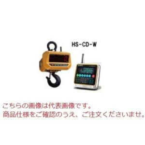 【直送品】 クボタ クレーンスケール(無線式指示計付) HS-CD-W-12 (HS-CD-W-12/KS-C8000-HS)｜kouguyasan