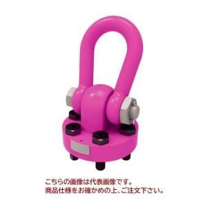 【ポイント15倍】【直送品】 ルッドスパンセット...の商品画像
