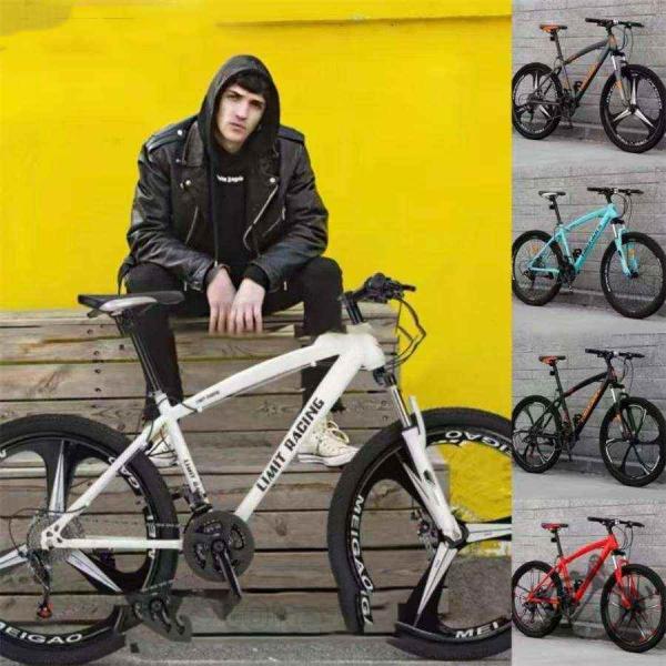 自転車 バイク マウンテンバイク 太いタイヤ 21 24 27 30段変速 24インチ 26インチ ...