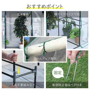 ビニールハウス 温室 ビニール温室 家庭用 ガ...の詳細画像1