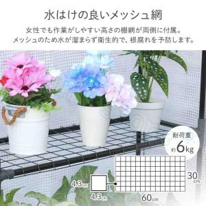 ビニールハウス 温室 ビニール温室 家庭用 ガ...の詳細画像4