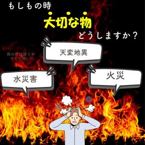 耐火バッグ 防災 防水 ケース 単品 Lサイズ...の詳細画像5