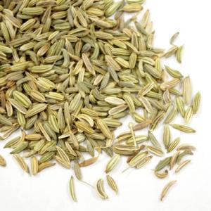 オーガニック フェンネル シード 500g　茴香 ういきょう ウイキョウ fennel ハーブティー...