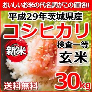 新米 平成29年 茨城県産 コシヒカリ 検査一等玄米 30k...