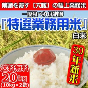 【送料無料】平成30年 新米「特選業務用米」精米(白米) 20kg　(10kg×2袋)　沖縄・離島は送料別