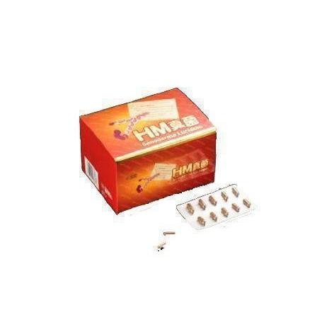 HM真菌(250mg×240カプセル＋おまけ付き)×２箱（和漢生薬研究所）【霊芝・レイシ】