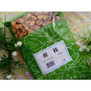 サルノコシカケ（梅寄生）（刻）500g【日本産】【高砂薬業】ばいき