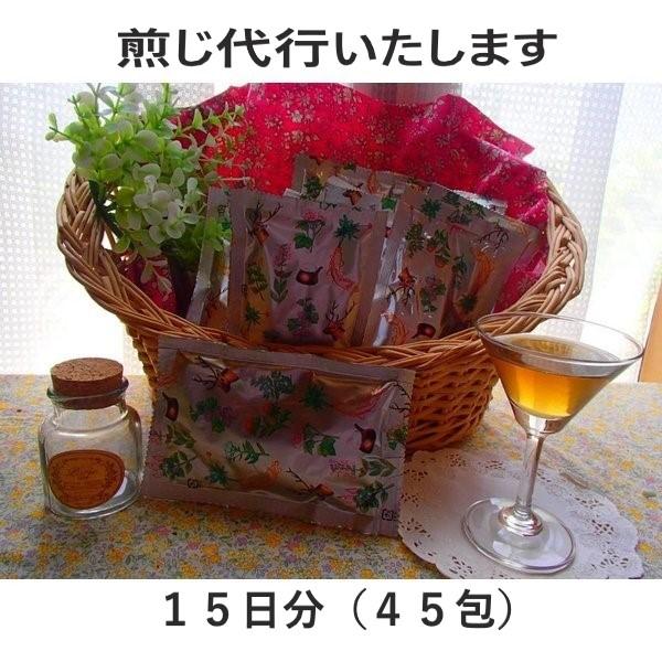 【煎じ済み・液体パック】炙甘草湯(しゃかんぞうとう)-パック入り煎じ漢方薬15日分(45包)【薬局製...