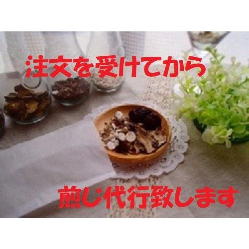 【薬局製造販売医薬品】(株式会社皇漢堂薬局)  小青龍湯(しょうせいりゅうとう)-パック入り煎じ漢方...