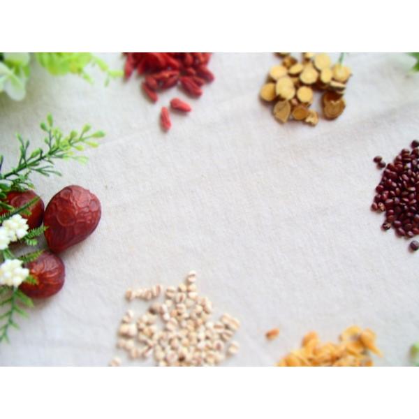 【薬局製造販売医薬品】(株式会社皇漢堂薬局) 【小青龍湯(しょうせいりゅうとう) 煎じ漢方薬】30日...