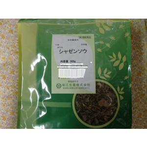 車前草　寸切　500g　【堀江生薬】国産 しゃぜんそう / シャゼンソウ / オオバコ 【第3類医薬...