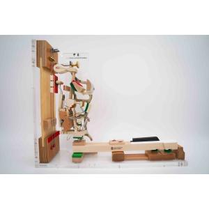 G604　UPアクションモデル(2鍵)