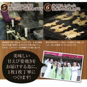 和菓子 せんべい えびせんべい 煎餅 ギフト ...の詳細画像5