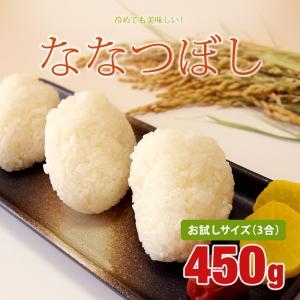 ななつぼし お試しサイズ450g 令和3年 北海道産 脱酸素包装 10年連続!特A銘柄 米