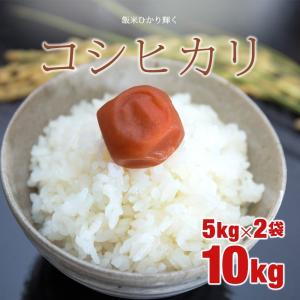 平成29年産 高知県産コシヒカリ10kg(5kg×2)...