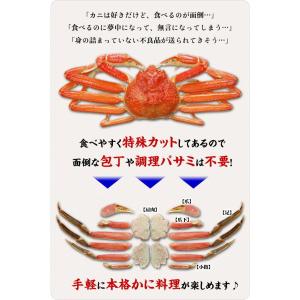 お刺身OK カット生ずわい蟹 特盛 2.1kgの詳細画像3