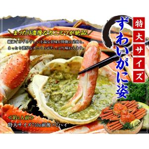カニ かに 蟹 ズワイガニ ギフト 特大 姿 ...の詳細画像1