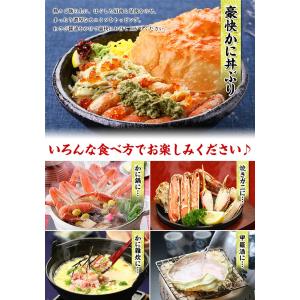 カニ かに 蟹 ズワイガニ ギフト 特大 姿 ...の詳細画像5
