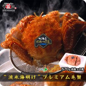 ＼ 2個まとめ買いで1000円OFF！／北海道産ボイル毛がに570g前後×1尾　毛蟹　毛ガニ　オホーツク産　冷凍　国産　浜茹で