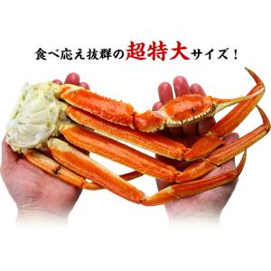 カニ かに 蟹 ズワイガニ カニ足 5kg 超...の詳細画像1