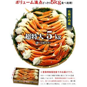 カニ かに 蟹 ズワイガニ カニ足 5kg 超...の詳細画像2