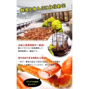 カニ かに 蟹 ズワイガニ カニ足 5kg 超...の詳細画像3